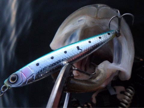 ctwr72whw9urca3ub7k4_920_690-1817ac71.jpg