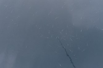 cu9g5r74vxizb4uxodoe_333_219-06d224c9.jpg