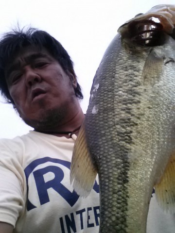 cuhxrz6tb3py6gw655uy_480_480-0ef47442.jpg