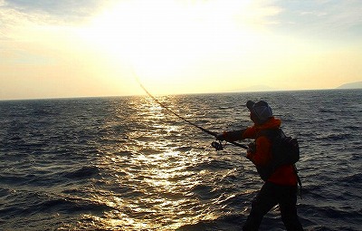cushxeno93wxuy6xwu8p-568b1a9b.jpg