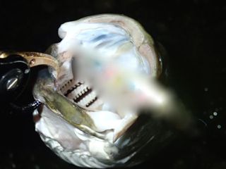 cuuxfz9z55iwgnnh8nee-bd01bd7c.jpg