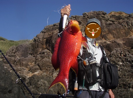 cv3uj4gobfs9tz2y5r8n-e4feff49.jpg
