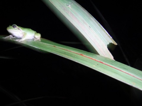 cvpytu5h856y8jgjgyse_480_480-83c8acdb.jpg