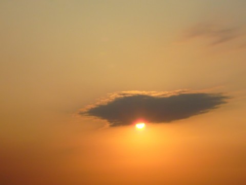 cwpww6kpkxh3azir4hm4_480_480-92d97989.jpg