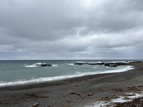 cwwsmyjvbdwdr6n8zt47_480_360-743df11a.jpg