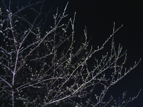 cwysorfbo6cw5ckdweze_920_690-886c9e19.jpg
