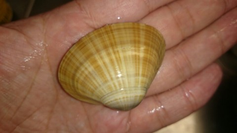 cx8pkirhxr6tskfyzw8j_920_518-2133f901.jpg