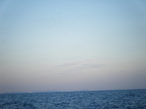 cxhzb5zxz4p4doyt5ypo_480_480-ec114c75.jpg