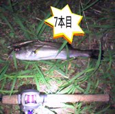 cxthktfxz6bn38d9vkz3-1a0413d4.jpg
