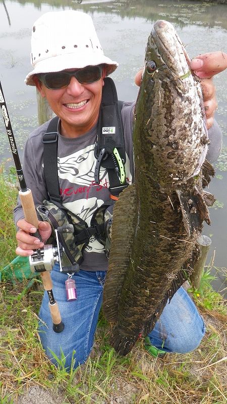 Hinokuni Fisher ツララ 雷魚ロッド Apsaras68