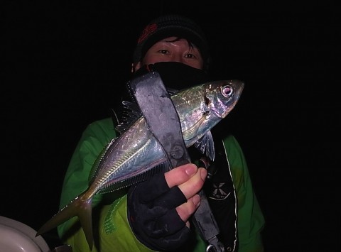 cyaigtpisiavdp5om4u8_480_480-ec10f51d.jpg