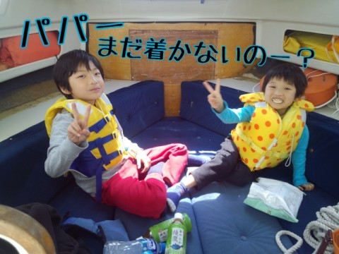 cyhh7med496ufgxds8xo_480_480-2a95209e.jpg