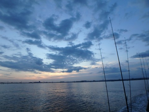 cyuvi6o82jpiytxtmtg3_480_480-5a97c2dd.jpg