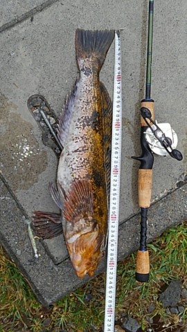czgj6m6p5ny75iheaywb_518_920-1d16da8c.jpg