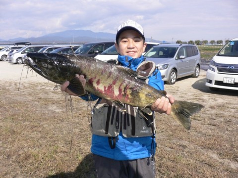 czm8yivswfuo865jrtfc_480_480-28117278.jpg