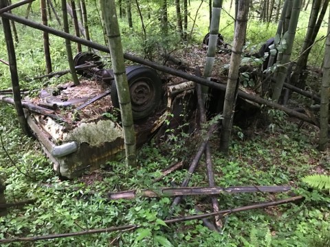 czvewrphuo5vdvrzdfya_920_690-84f0c724.jpg