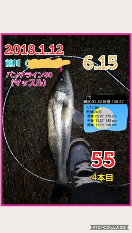 d2eaadmdpf5agtmbsxw8_480_480-c5f891a9.jpg