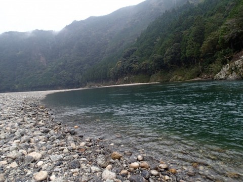 d2ebu63mfpcmj3crx39x_480_480-936125ac.jpg