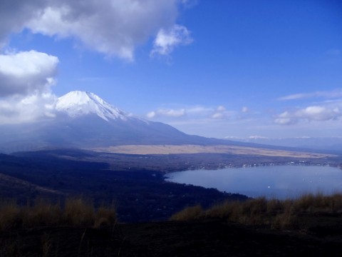 d2jje4hmucwaj8tzinvy_480_480-a87cd7f4.jpg