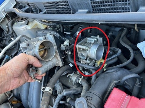 d2jkj68otc6du82fpj3e_480_480-bdf3ad06.jpg