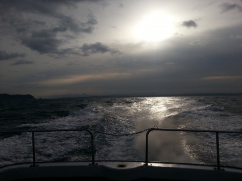 d2k844fvacusvjgwzmys_480_480-7e2114e1.jpg