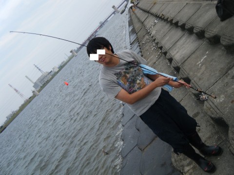 d2mh3g6odar7vmb8beyh_480_480-80f0d2c1.jpg