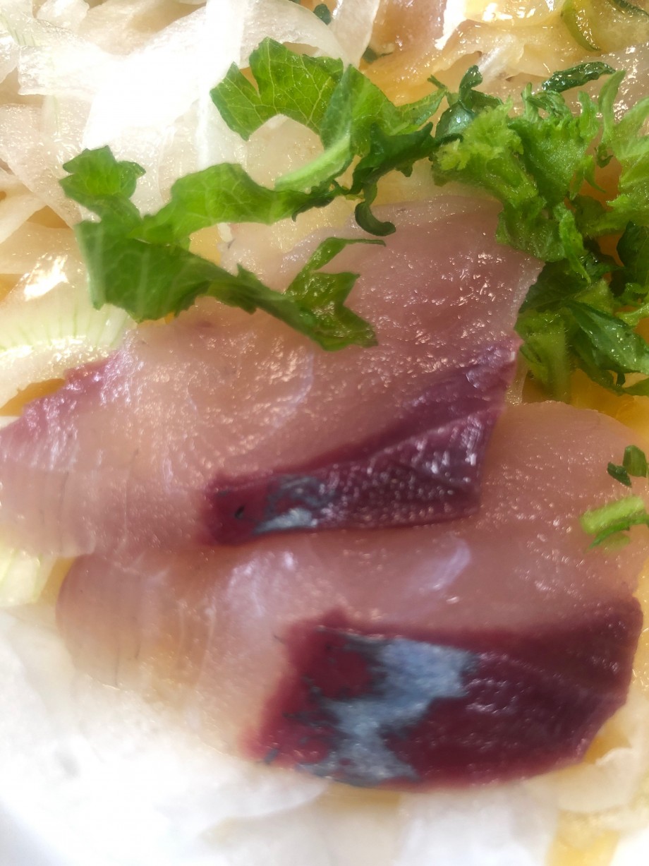 ブログ ツバスしか釣れんw ブログ ツバスしか釣れんw