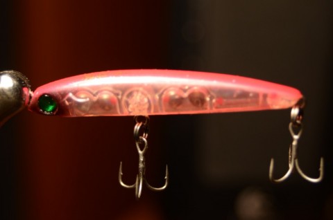 d2tgyre3vw2uxpj4b6uk_480_480-4a3fc42b.jpg