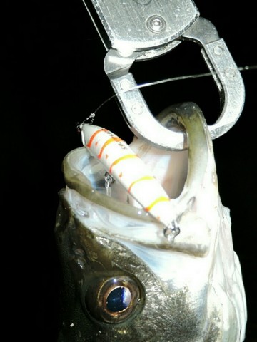 d32vabg45m9p5tox446x_690_920-8d7ddd48.jpg