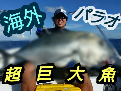 d3phk8smjb48ba7n52zg_480_480-36bfe85a.jpg