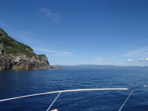 d3vz3v6jvf99p729hpcp_480_480-86128853.jpg