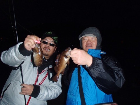 d44kchcukmuf3dmp5w5f_480_480-289779c1.jpg