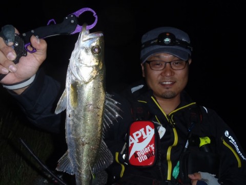d44nsr33cs2iw99rhfjb_480_480-bb124320.jpg