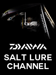 モアザン　インターライン DAIWA（釣り） ダイワ モアザン IL （ インターラインモデル