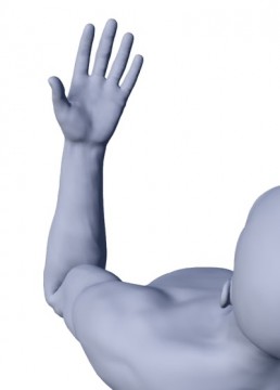 d4cvkha8r8566n3jsrhw_344_480-533847c1.jpg