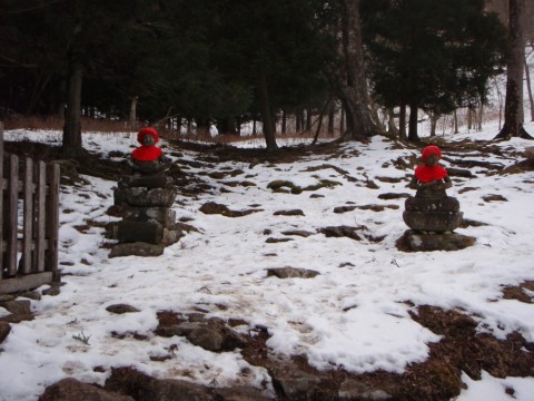 d4kyvktgj8po2j5decef_480_480-5ff4736c.jpg