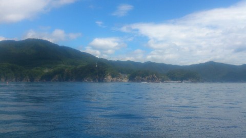 d4mhkb7srfvt6vwju4mp_920_518-3142c6d9.jpg