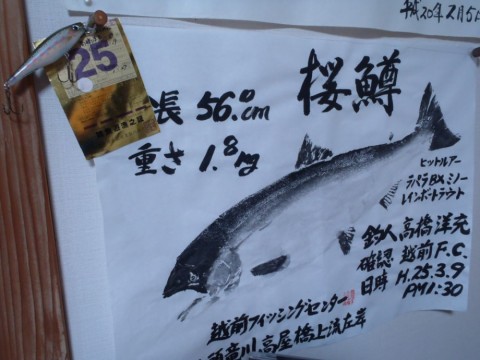 d4s3h5xm8zf8d9n5pmnb_480_480-d080d975.jpg