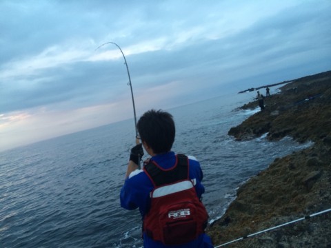 d56mnxuxhmr9uben24zs_920_690-64416033.jpg