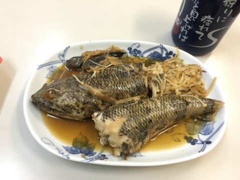 d58ueggr323irn2iirw9_920_690-f3dcd2c0.jpg