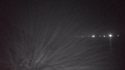 d5zhfwuhm99kxk3ir9e4_480_480-efa96b16.jpg