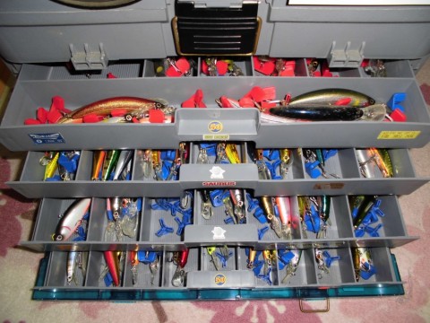 d6dowy3d25hhmnzjtxcd_480_480-22d8b155.jpg