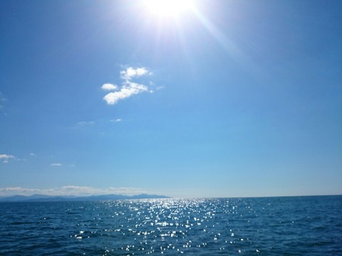 d6dtaodmnxymri3nfoth_920_690-8c000d9e.jpg