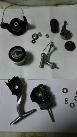 d6keifj9f9usgu4dhckr_480_480-25a77487.jpg