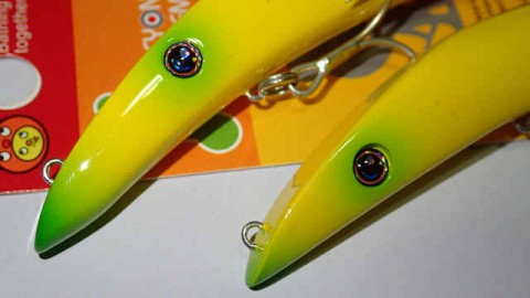 d6ku68bowmcbbggehbv8_480_480-26717c07.jpg