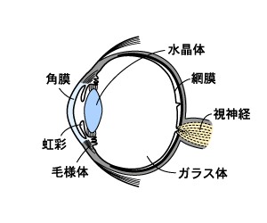 d6naoeiu3tuhmcoa4h3g_300_250-72b0aa7b.jpg