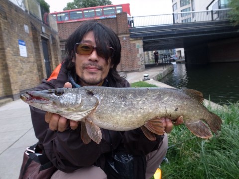 d6rptstojhsrphsgtdgo_920_690-b2887c06.jpg