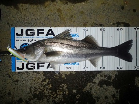 d7235vz34fjmgaswvdua_480_480-c1e15e47.jpg
