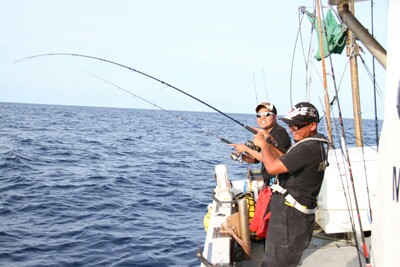d76hz9fs8jv7kmx5aa35_400_267-72c3c16b.jpg