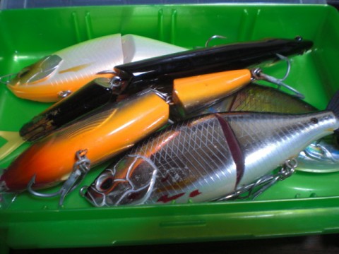 d775re8u7tsyyu8nkmhk_480_480-b6341547.jpg